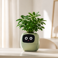BloomBuddy™ Interactive Smart Planter